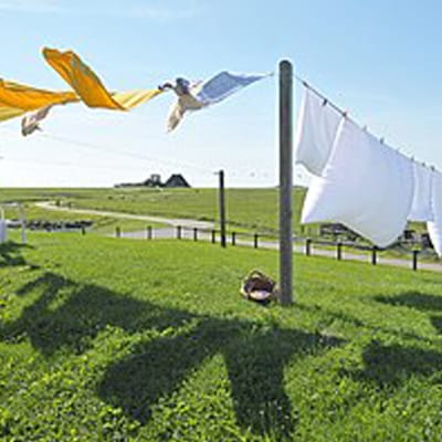Laundry Detergent Sheets – Better for the family and environment!